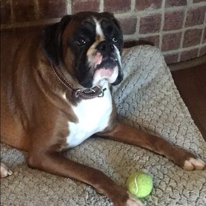 Meet your Posher, Kate